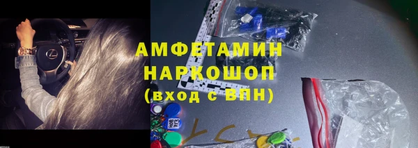 крисы Кодинск